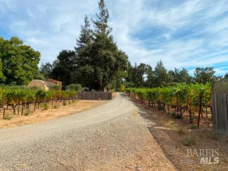 Detail Gallery Image 63 of 68 For 1180 Monticello Rd, Napa,  CA 94558 - 3 Beds | 2 Baths