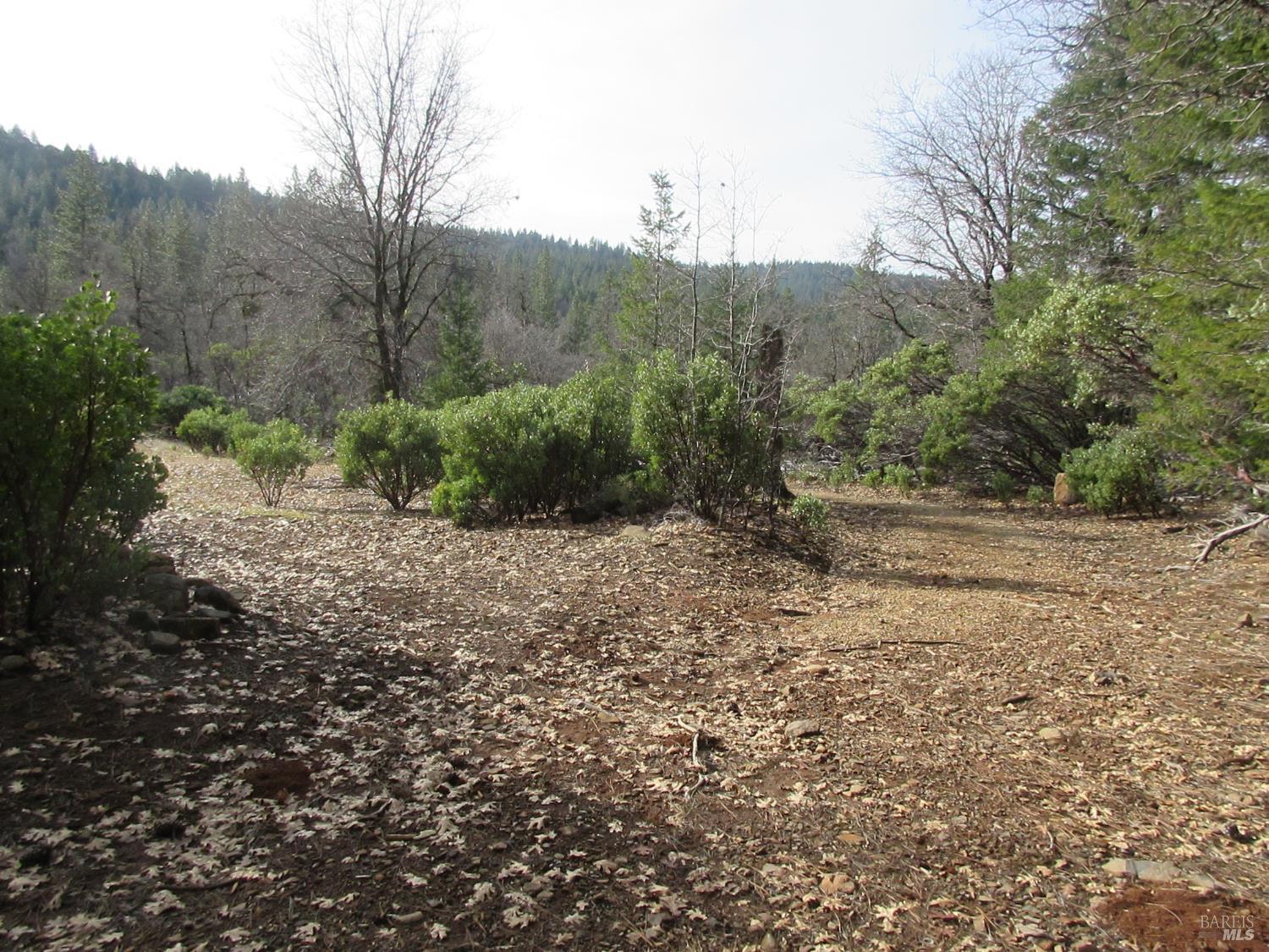 Detail Gallery Image 3 of 30 For 30425 Frontier Rd, Oak Run,  CA 96069 - – Beds | – Baths