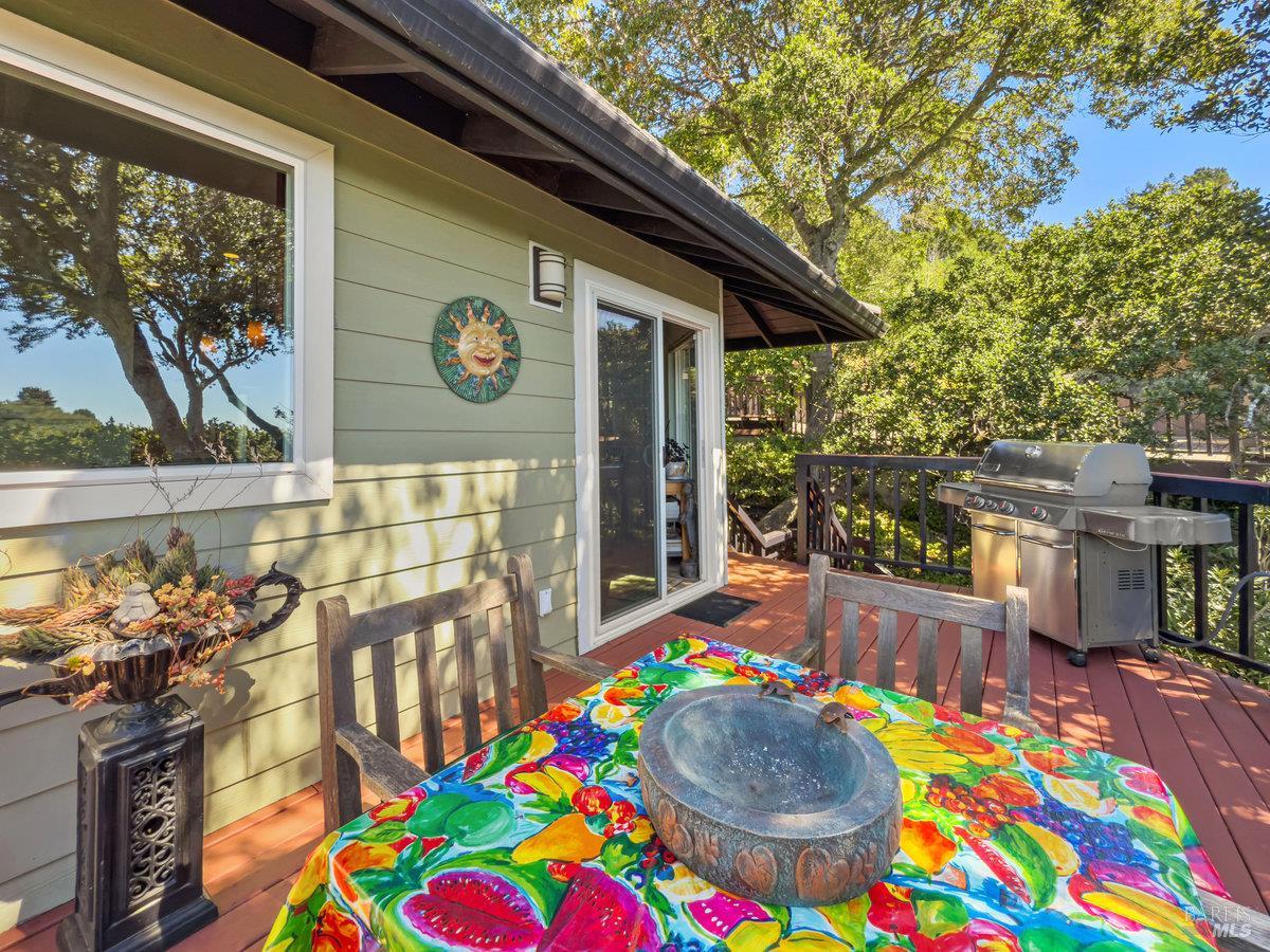 Detail Gallery Image 21 of 41 For 119 Oakmont Ave, San Rafael,  CA 94901 - 4 Beds | 3/1 Baths