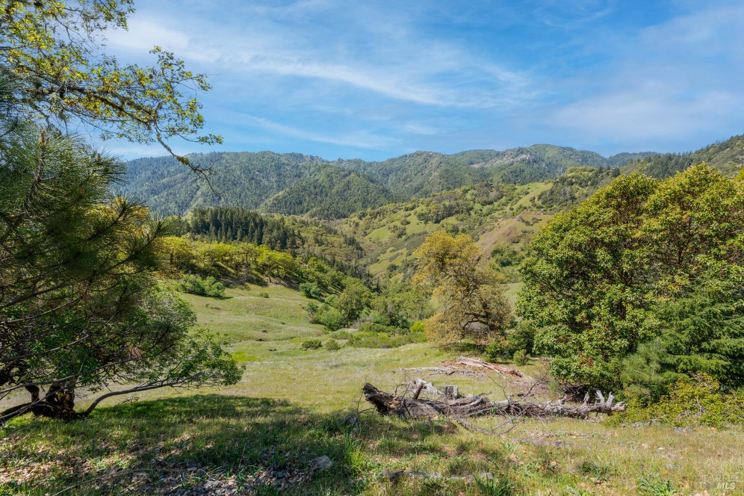 Detail Gallery Image 2 of 10 For 15800 Ridgeview Rd, Willits,  CA 95490 - – Beds | – Baths