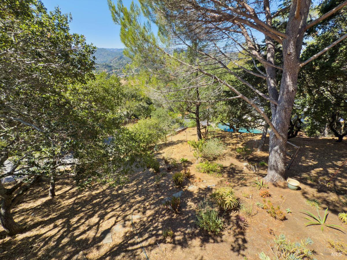 Detail Gallery Image 37 of 41 For 119 Oakmont Ave, San Rafael,  CA 94901 - 4 Beds | 3/1 Baths