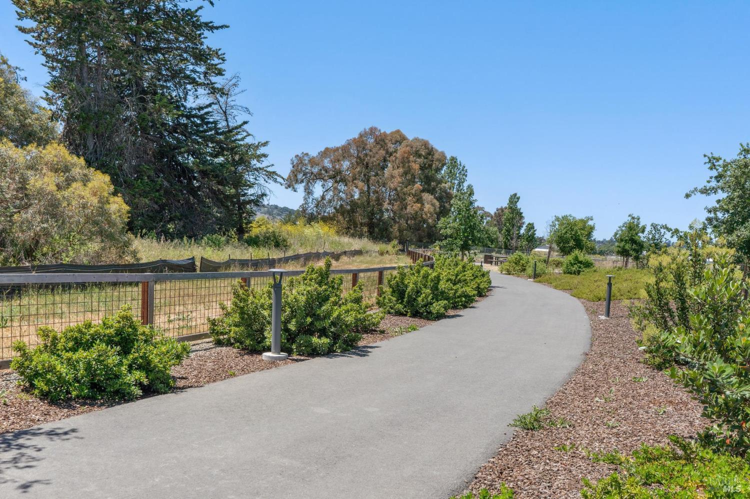 Detail Gallery Image 64 of 78 For 1805 Alvarado St, Petaluma,  CA 94952 - 4 Beds | 3 Baths