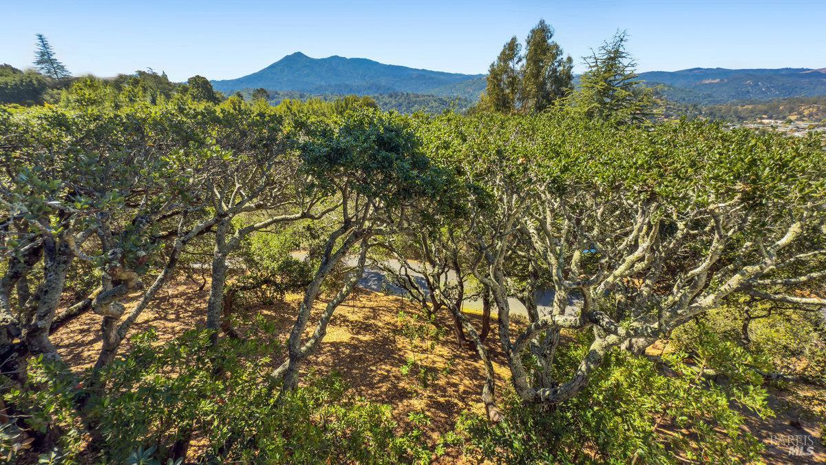 Detail Gallery Image 22 of 41 For 119 Oakmont Ave, San Rafael,  CA 94901 - 4 Beds | 3/1 Baths