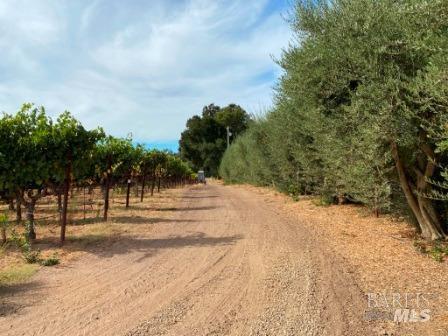 Detail Gallery Image 65 of 68 For 1180 Monticello Rd, Napa,  CA 94558 - 3 Beds | 2 Baths