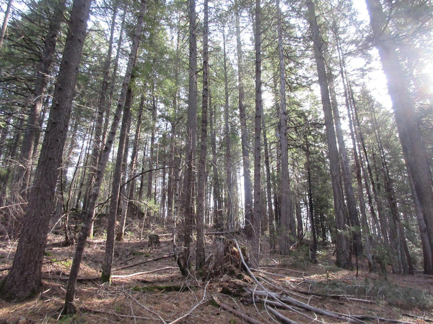 Detail Gallery Image 27 of 30 For 30425 Frontier Rd, Oak Run,  CA 96069 - – Beds | – Baths