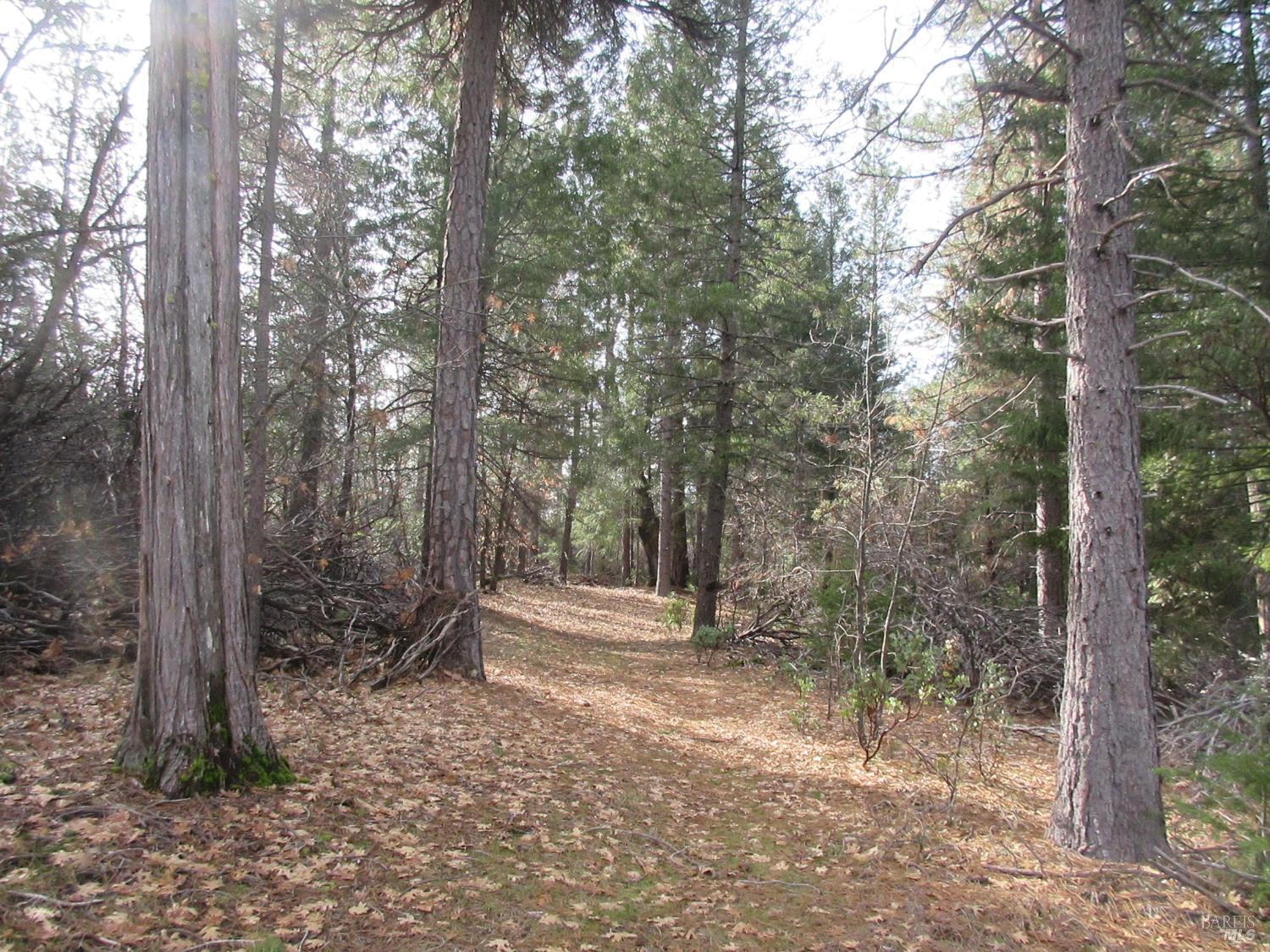 Detail Gallery Image 17 of 30 For 30425 Frontier Rd, Oak Run,  CA 96069 - – Beds | – Baths