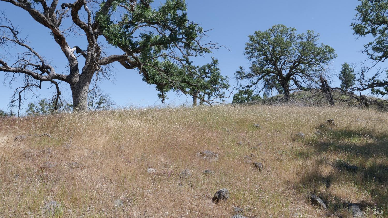 Detail Gallery Image 15 of 38 For 0 Pope Canyon Rd, Pope Valley,  CA 94567 - – Beds | – Baths