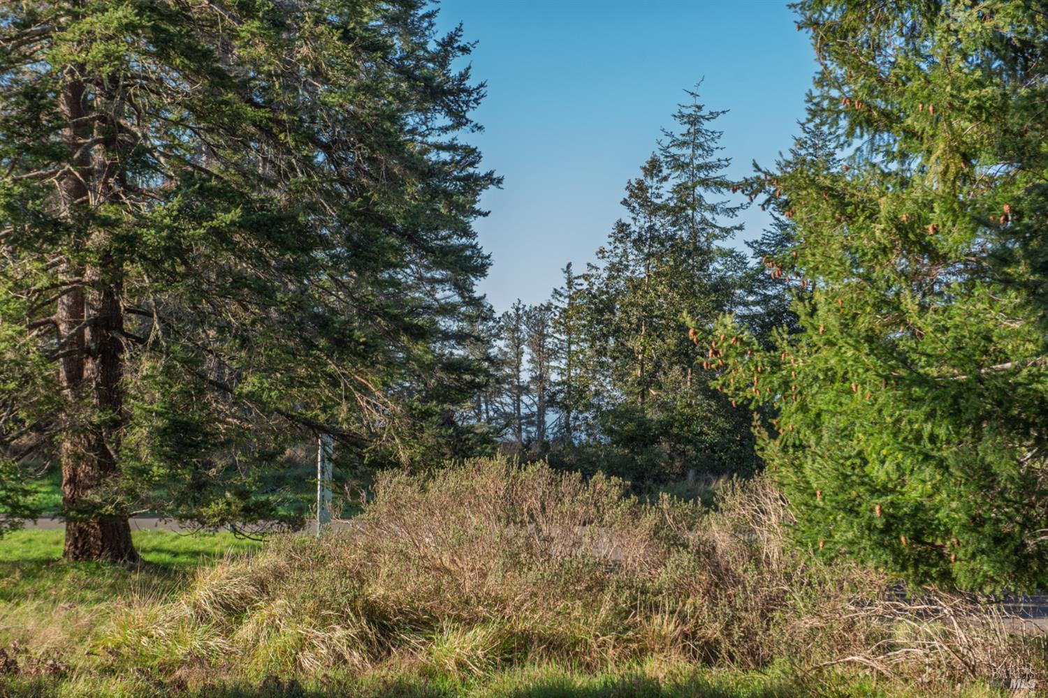 Detail Gallery Image 8 of 10 For 36231 Timber Ridge Rd, The Sea Ranch,  CA 95497 - – Beds | – Baths