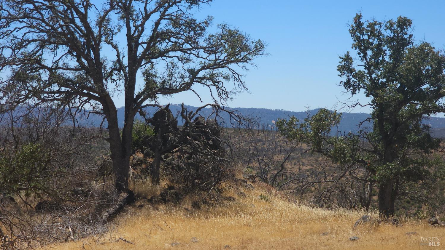 Detail Gallery Image 33 of 38 For 0 Pope Canyon Rd, Pope Valley,  CA 94567 - – Beds | – Baths