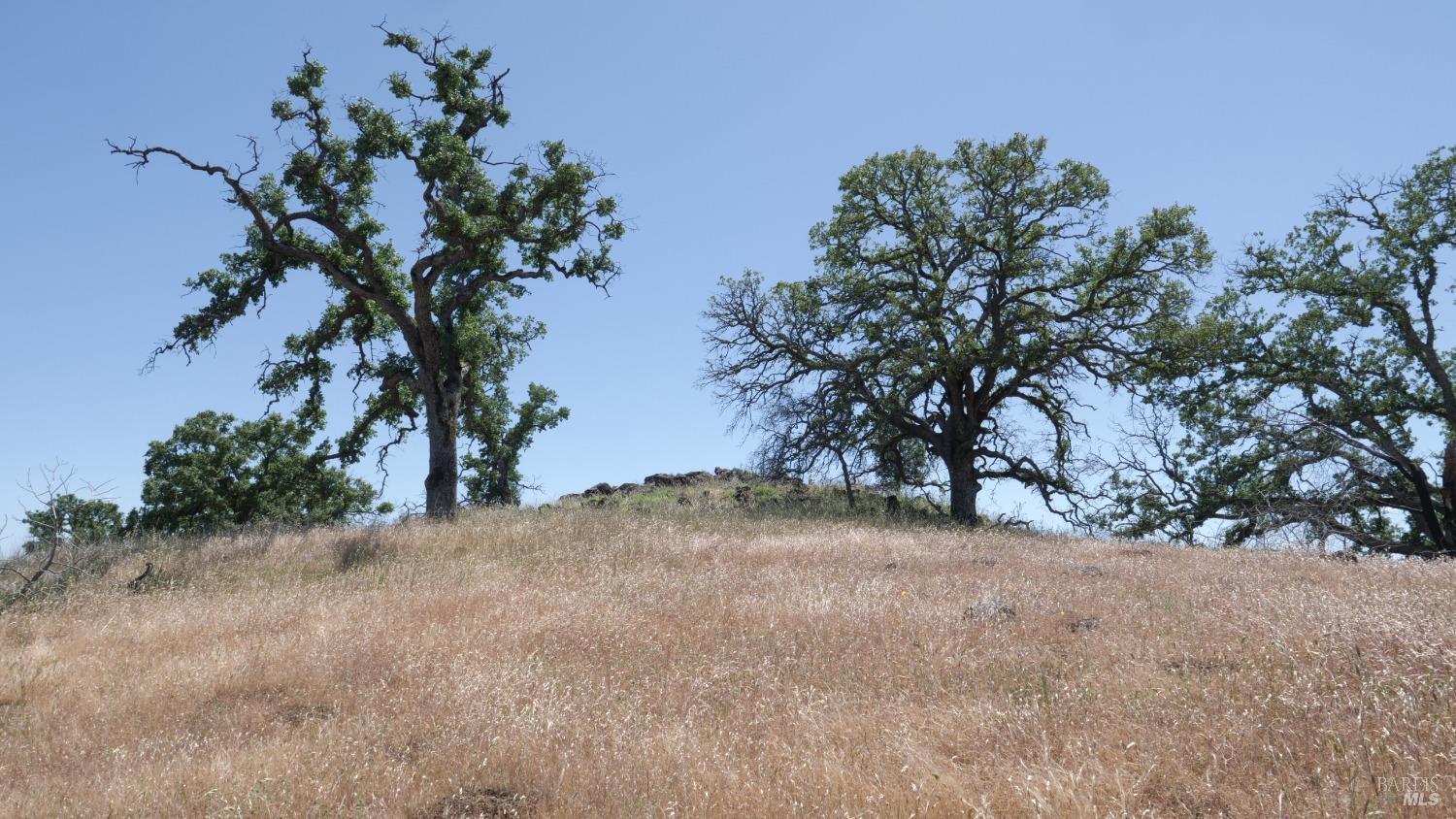 Detail Gallery Image 20 of 38 For 0 Pope Canyon Rd, Pope Valley,  CA 94567 - – Beds | – Baths