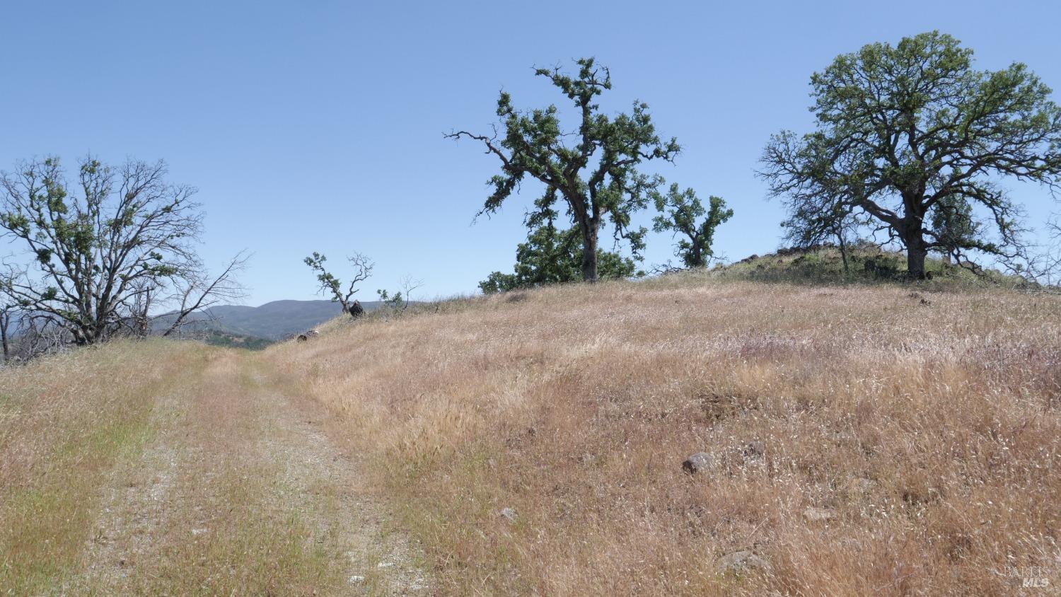 Detail Gallery Image 17 of 38 For 0 Pope Canyon Rd, Pope Valley,  CA 94567 - – Beds | – Baths