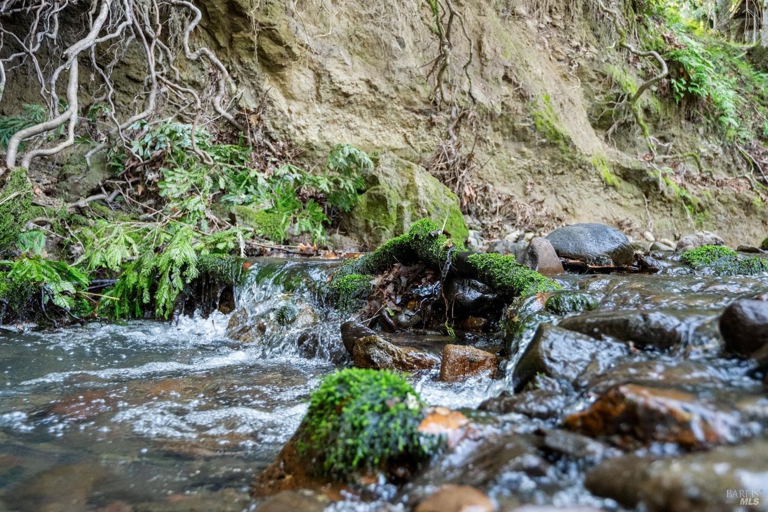 Detail Gallery Image 29 of 38 For 9200 Bennett Valley Rd, Glen Ellen,  CA 95442 - 3 Beds | 2/1 Baths