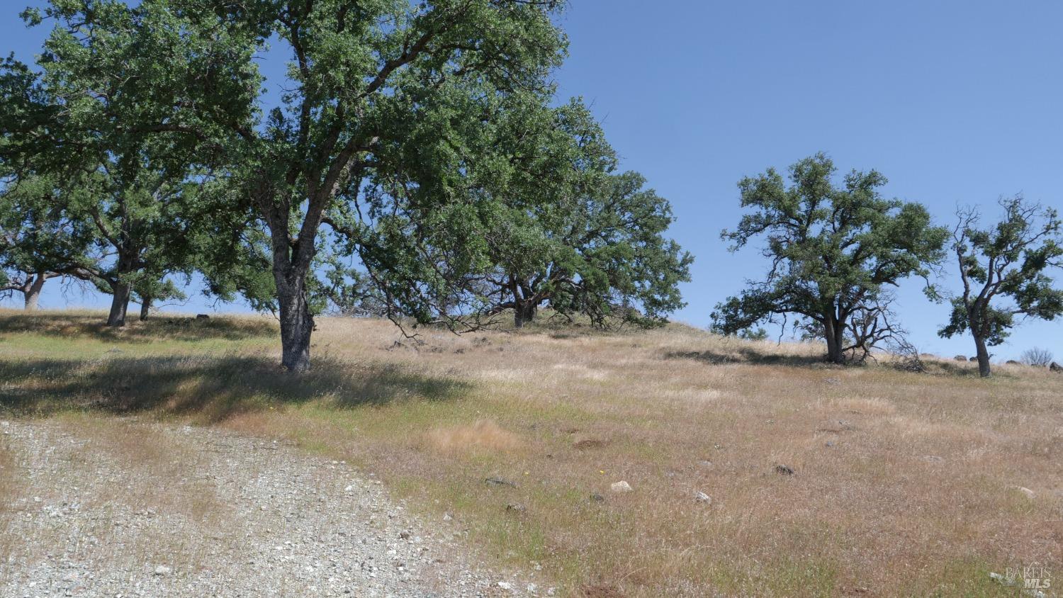 Detail Gallery Image 12 of 38 For 0 Pope Canyon Rd, Pope Valley,  CA 94567 - – Beds | – Baths