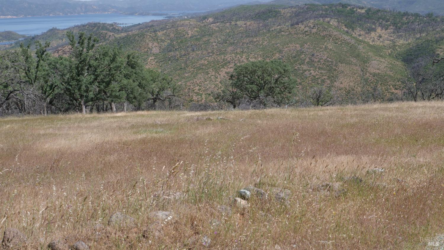 Detail Gallery Image 26 of 38 For 0 Pope Canyon Rd, Pope Valley,  CA 94567 - – Beds | – Baths