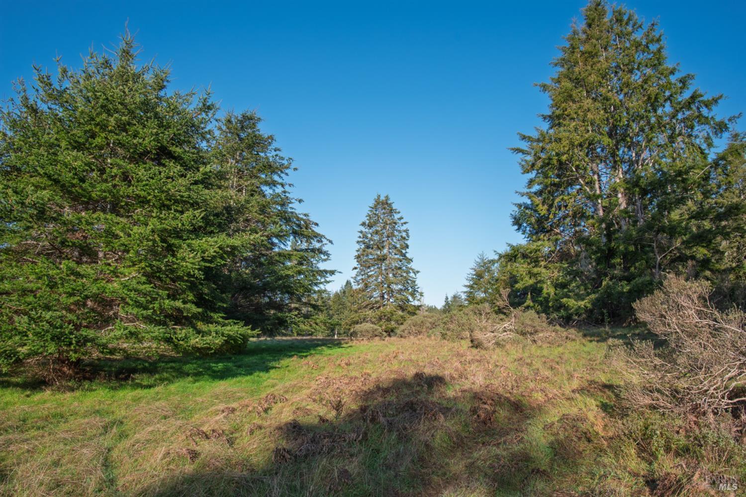 Detail Gallery Image 4 of 10 For 36231 Timber Ridge Rd, The Sea Ranch,  CA 95497 - – Beds | – Baths