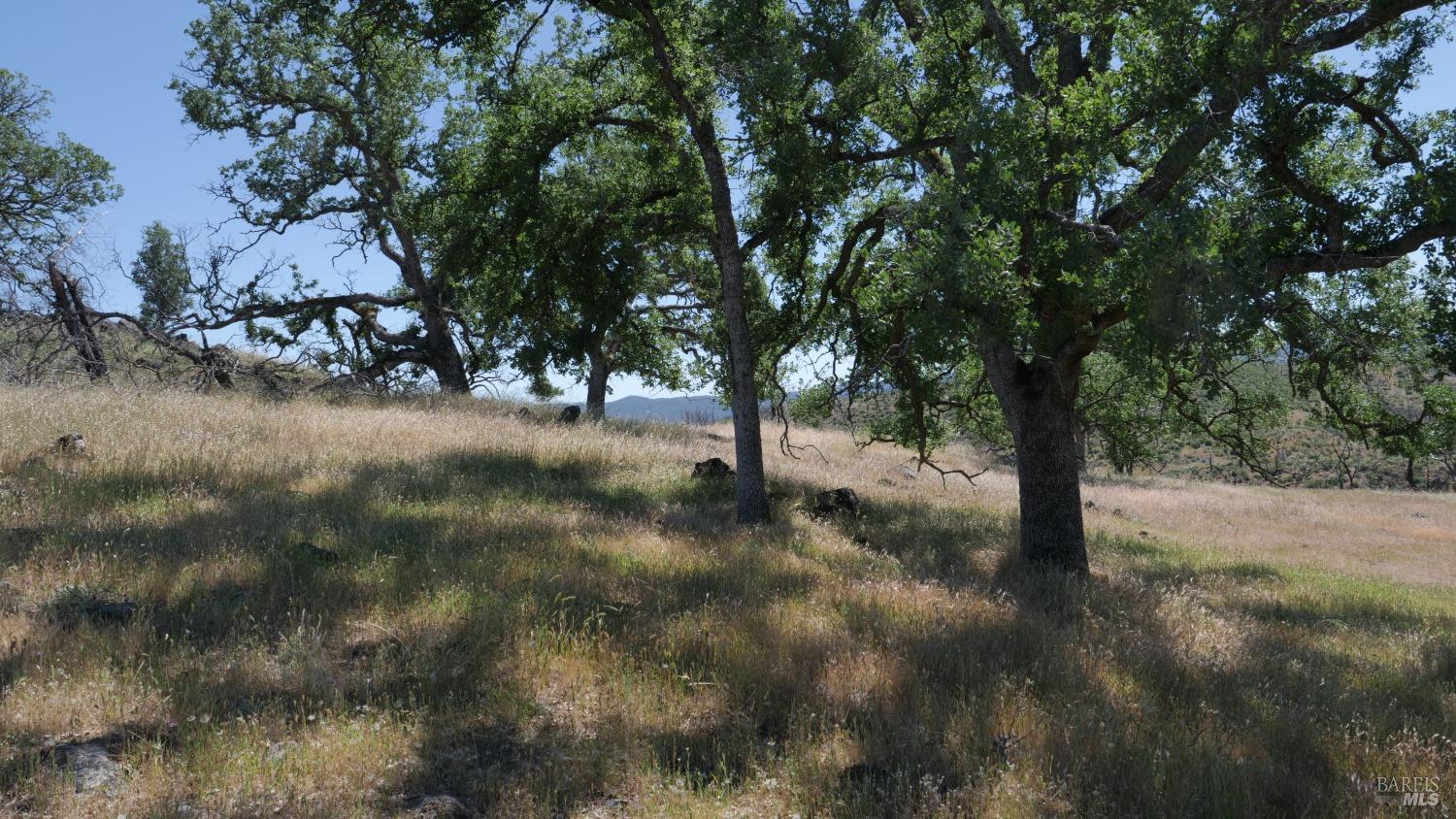 Detail Gallery Image 16 of 38 For 0 Pope Canyon Rd, Pope Valley,  CA 94567 - – Beds | – Baths