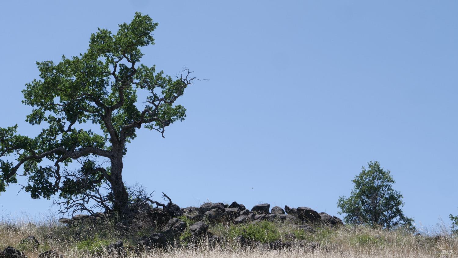 Detail Gallery Image 29 of 38 For 0 Pope Canyon Rd, Pope Valley,  CA 94567 - – Beds | – Baths