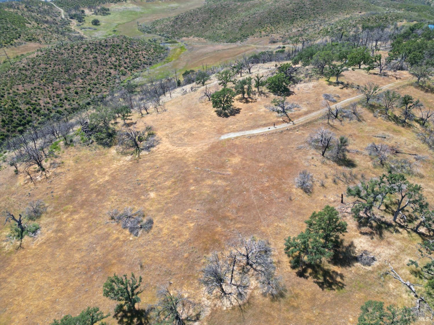 Detail Gallery Image 4 of 38 For 0 Pope Canyon Rd, Pope Valley,  CA 94567 - – Beds | – Baths