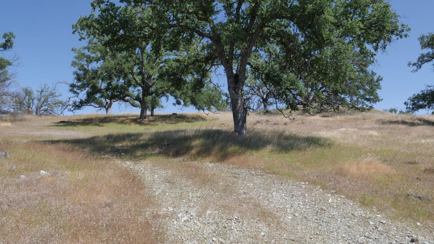 Detail Gallery Image 14 of 38 For 0 Pope Canyon Rd, Pope Valley,  CA 94567 - – Beds | – Baths