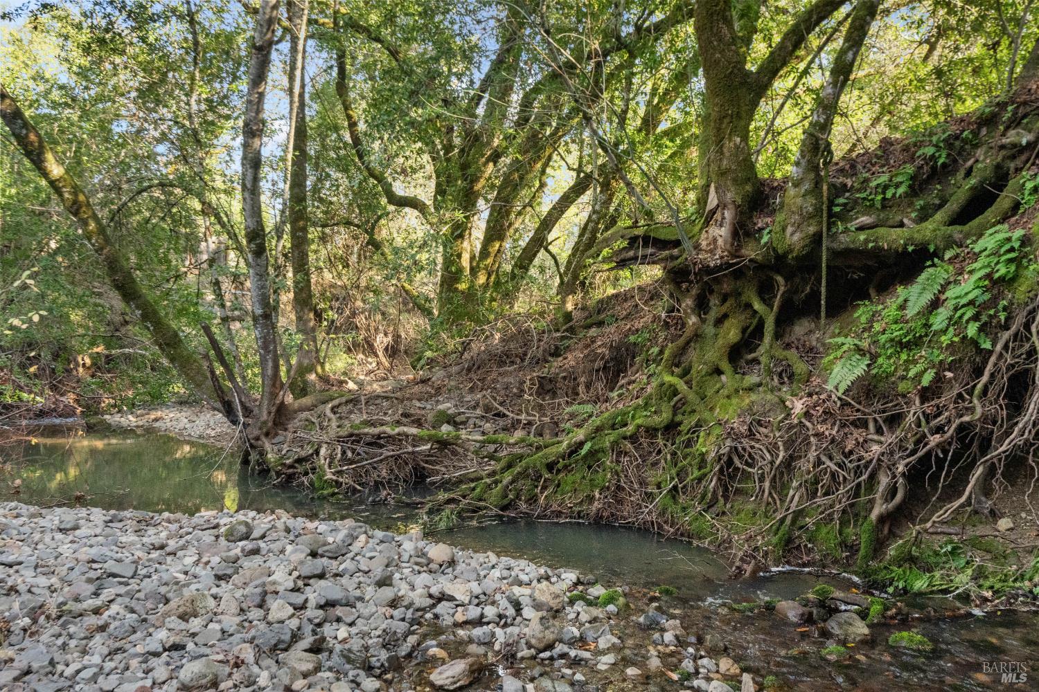 Detail Gallery Image 28 of 38 For 9200 Bennett Valley Rd, Glen Ellen,  CA 95442 - 3 Beds | 2/1 Baths