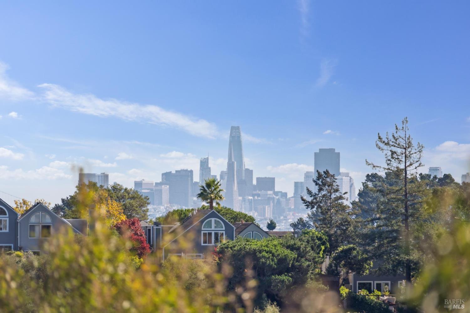 Detail Gallery Image 24 of 39 For 561 Seaver Dr, Mill Valley,  CA 94941 - 1 Beds | 1 Baths