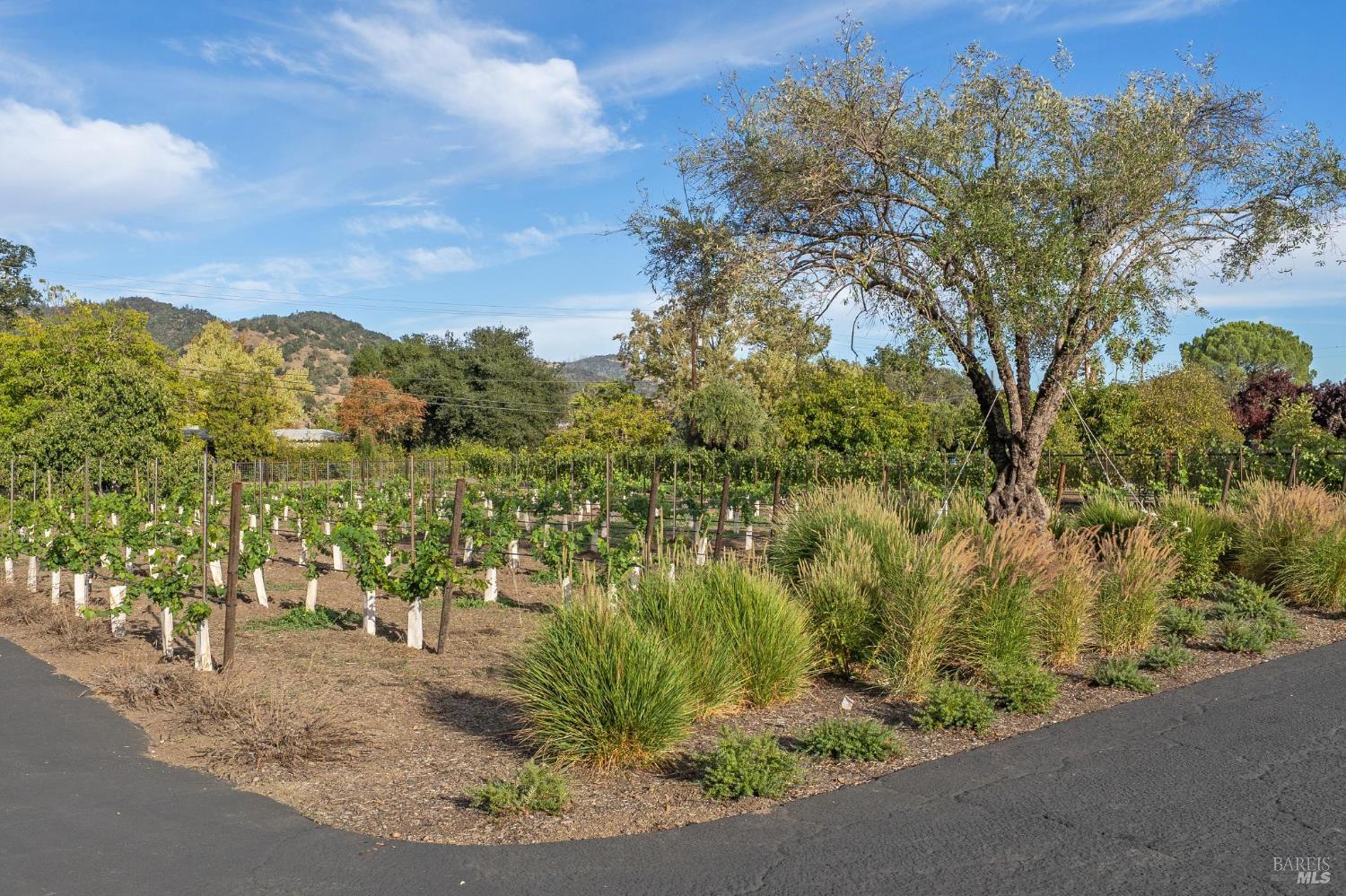 Detail Gallery Image 65 of 72 For 3033 Myrtledale Rd, Calistoga,  CA 94515 - 4 Beds | 4 Baths