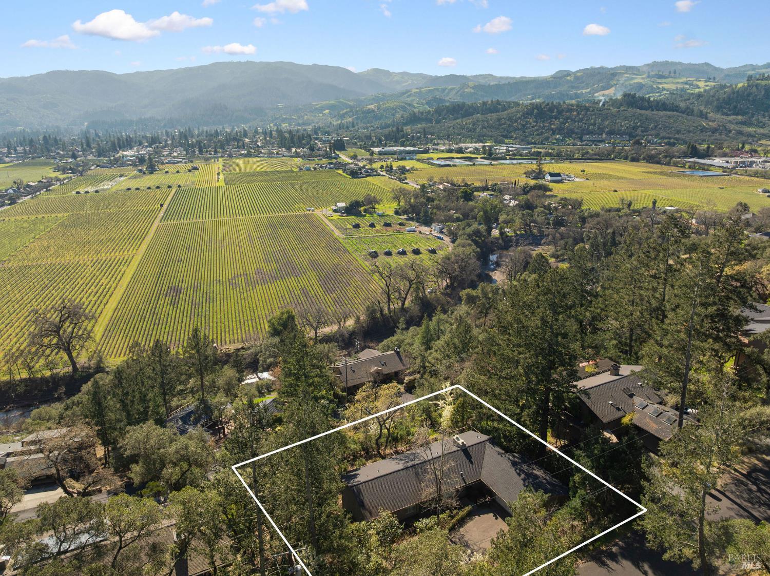 Detail Gallery Image 7 of 54 For 121 Knoll Pl, Saint Helena,  CA 94574 - 4 Beds | 3/3 Baths