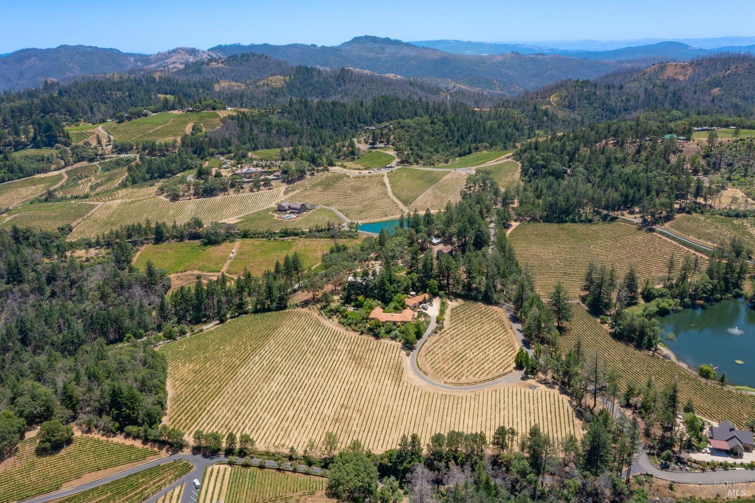 Detail Gallery Image 5 of 7 For 4046 Spring Mountain Rd, Saint Helena,  CA 94574 - – Beds | – Baths