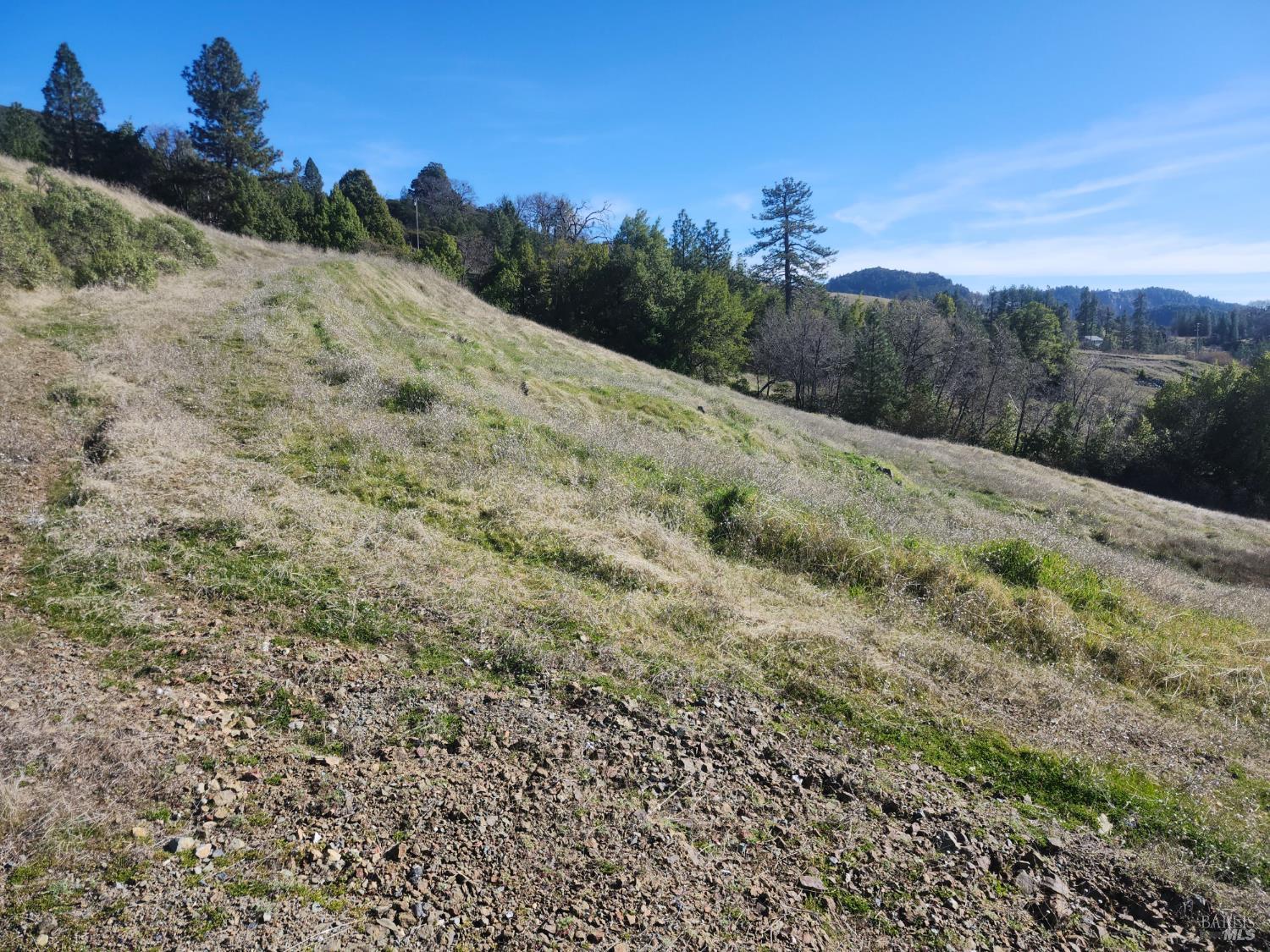 Detail Gallery Image 14 of 14 For 4300 Spyrock Rd, Laytonville,  CA 95585 - 2 Beds | 1 Baths