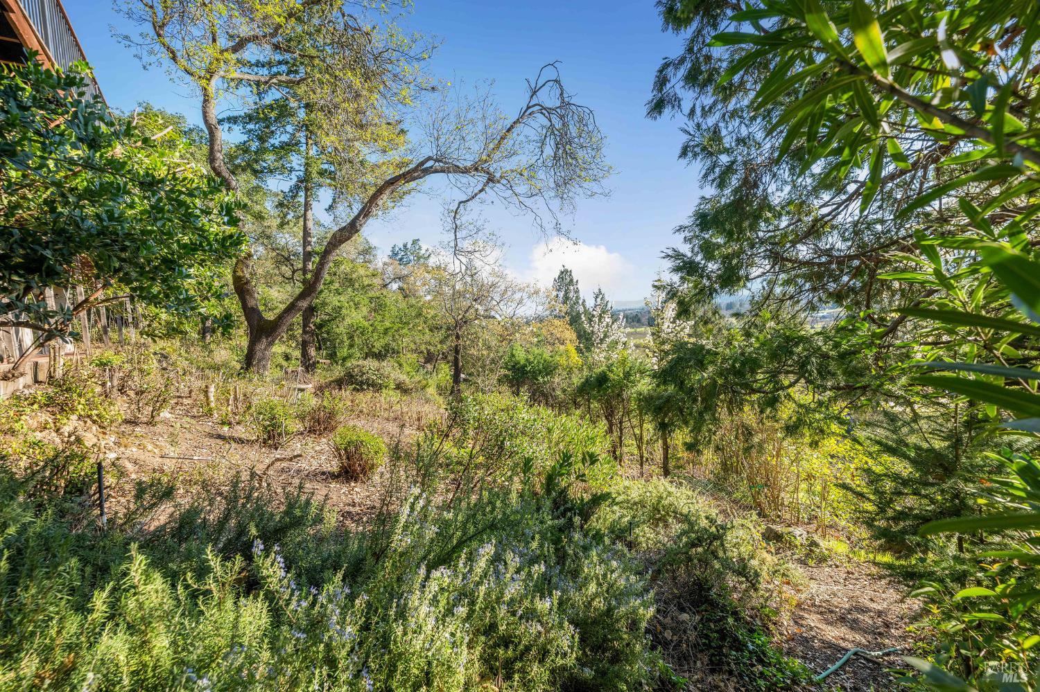 Detail Gallery Image 51 of 54 For 121 Knoll Pl, Saint Helena,  CA 94574 - 4 Beds | 3/3 Baths