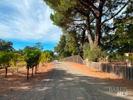 Detail Gallery Image 58 of 68 For 1180 Monticello Rd, Napa,  CA 94558 - – Beds | – Baths