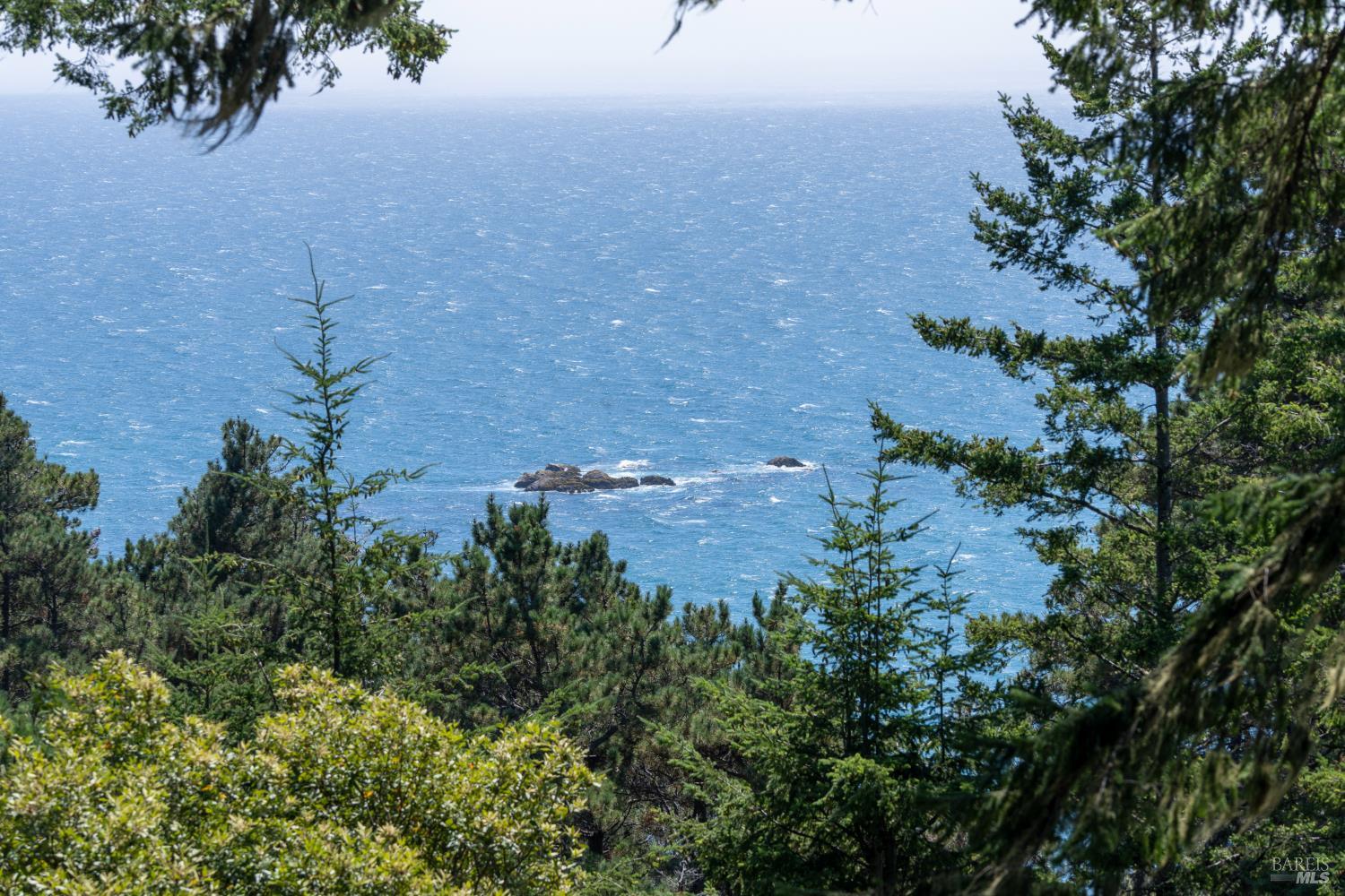 Detail Gallery Image 48 of 66 For 46900 Gypsy Flat Rd, Gualala,  CA 95445 - 2 Beds | 2 Baths