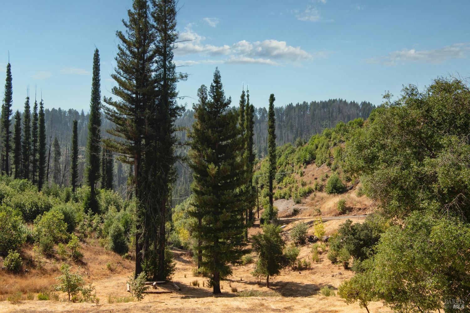 Detail Gallery Image 23 of 61 For 9451 Mill Creek Rd, Healdsburg,  CA 95448 - 2 Beds | 2 Baths