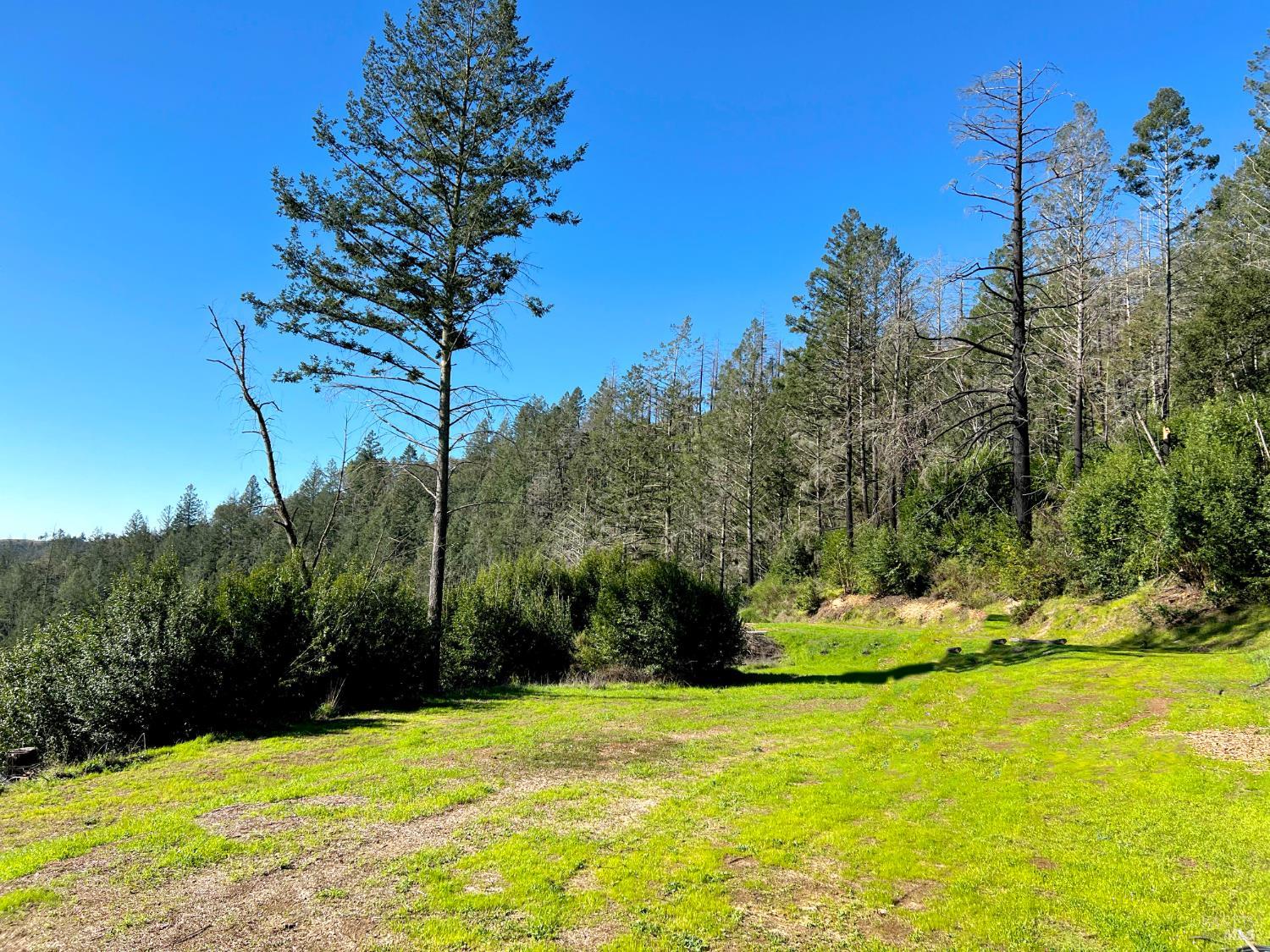 Detail Gallery Image 9 of 29 For 2095 Mark West Springs Rd, Santa Rosa,  CA 95404 - – Beds | – Baths