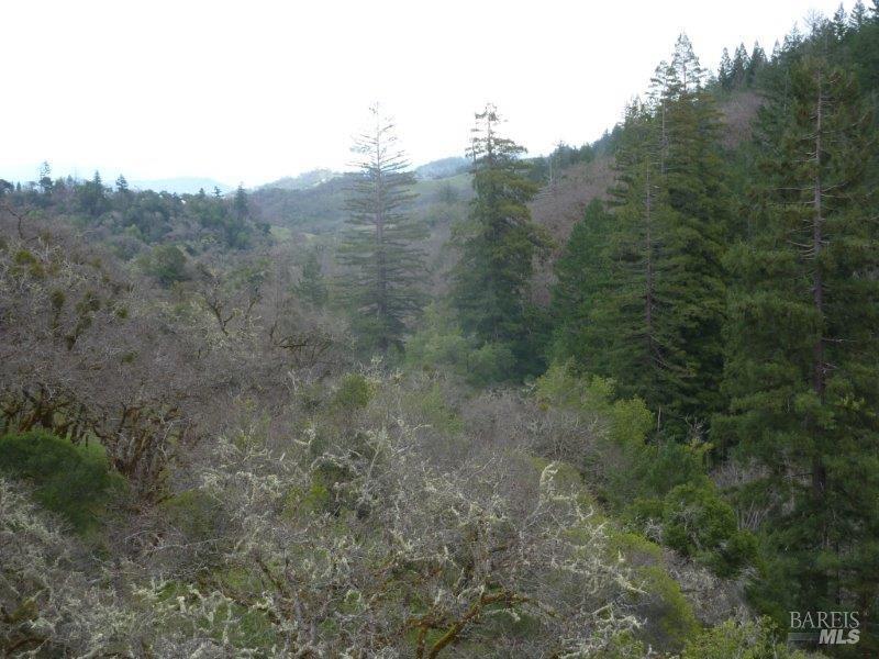 Detail Gallery Image 11 of 19 For 4225 Reeves Canyon Rd, Redwood Valley,  CA 95470 - – Beds | – Baths