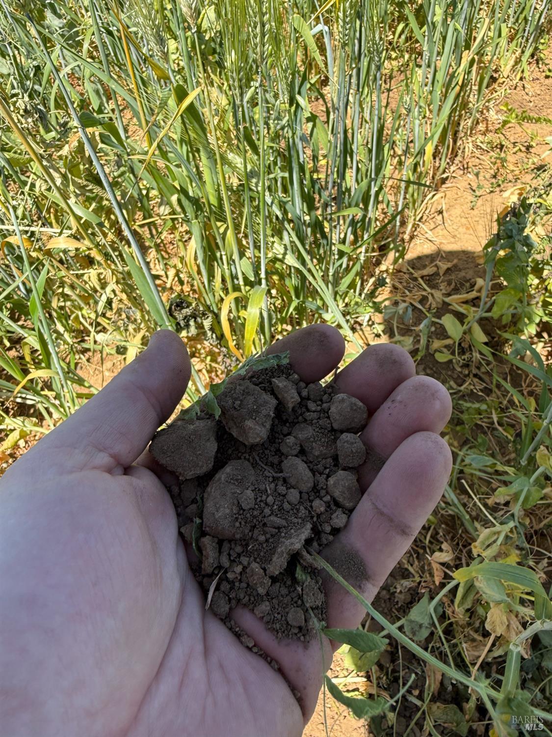 Detail Gallery Image 14 of 25 For Address Is Not Disclosed, Lower Lake,  CA 95457 - – Beds | – Baths