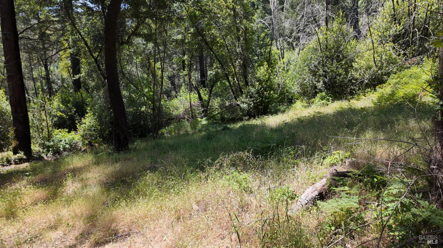 Detail Gallery Image 26 of 29 For 2095 Mark West Springs Rd, Santa Rosa,  CA 95404 - – Beds | – Baths