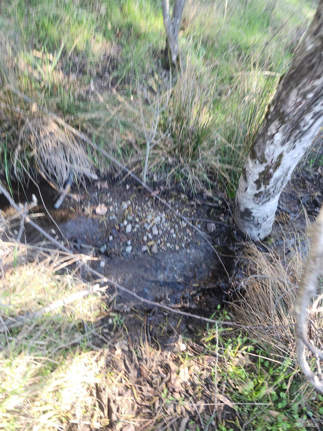 Detail Gallery Image 4 of 14 For 4300 Spyrock Rd, Laytonville,  CA 95585 - 2 Beds | 1 Baths