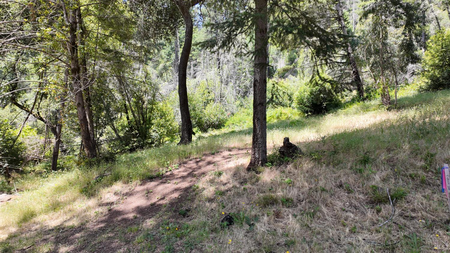 Detail Gallery Image 29 of 29 For 2095 Mark West Springs Rd, Santa Rosa,  CA 95404 - – Beds | – Baths