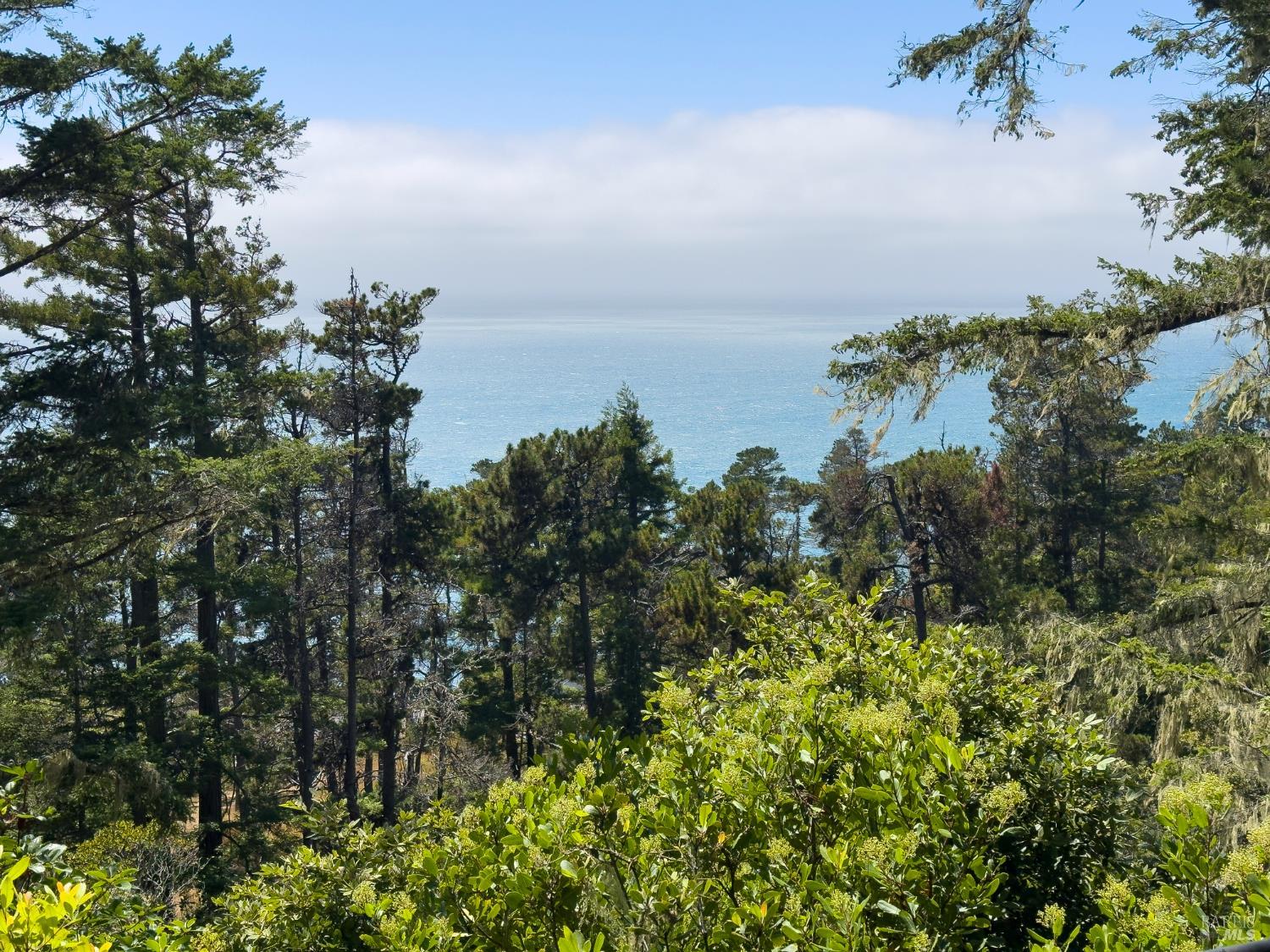 Detail Gallery Image 19 of 66 For 46900 Gypsy Flat Rd, Gualala,  CA 95445 - 2 Beds | 2 Baths