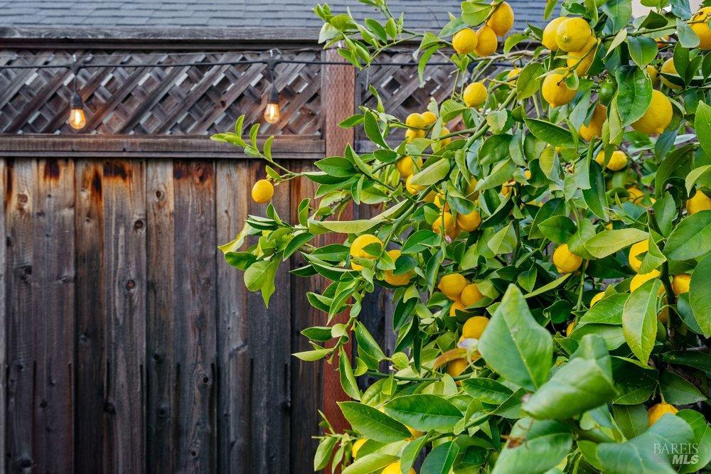 Detail Gallery Image 54 of 77 For 1210 Maple Dr, Rohnert Park,  CA 94928 - 3 Beds | 2/1 Baths