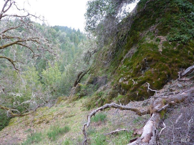 Detail Gallery Image 8 of 19 For 4225 Reeves Canyon Rd, Redwood Valley,  CA 95470 - – Beds | – Baths