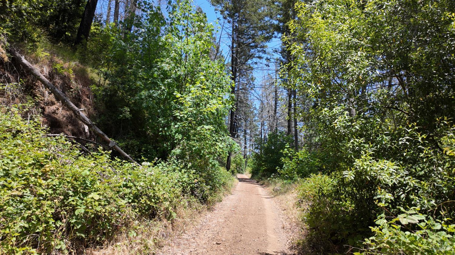 Detail Gallery Image 20 of 29 For 2095 Mark West Springs Rd, Santa Rosa,  CA 95404 - – Beds | – Baths