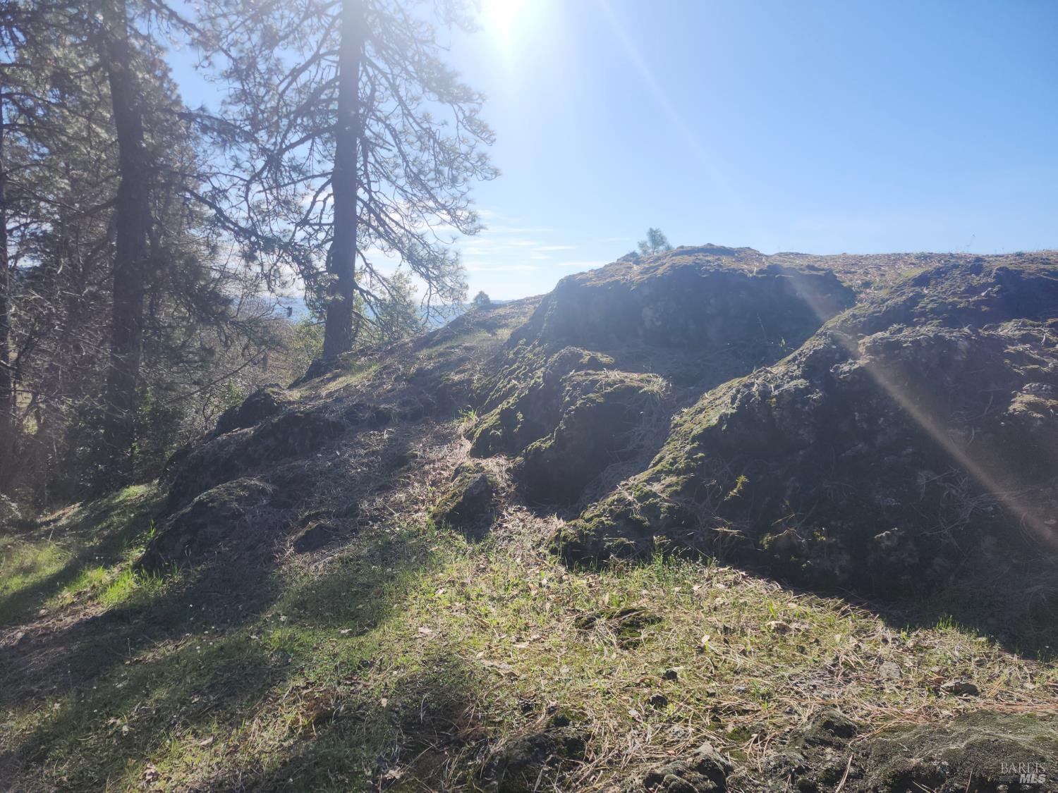 Detail Gallery Image 3 of 14 For 4300 Spyrock Rd, Laytonville,  CA 95585 - 2 Beds | 1 Baths