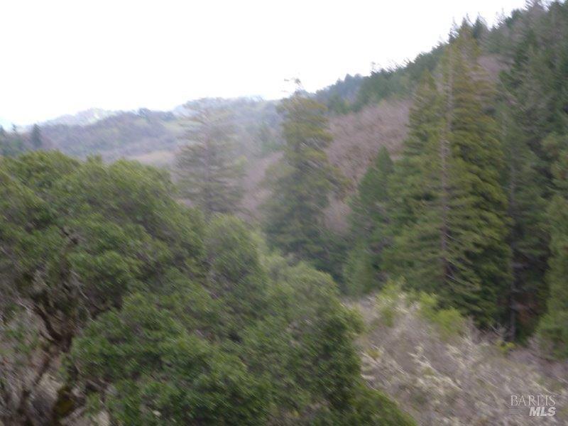 Detail Gallery Image 10 of 19 For 4225 Reeves Canyon Rd, Redwood Valley,  CA 95470 - – Beds | – Baths