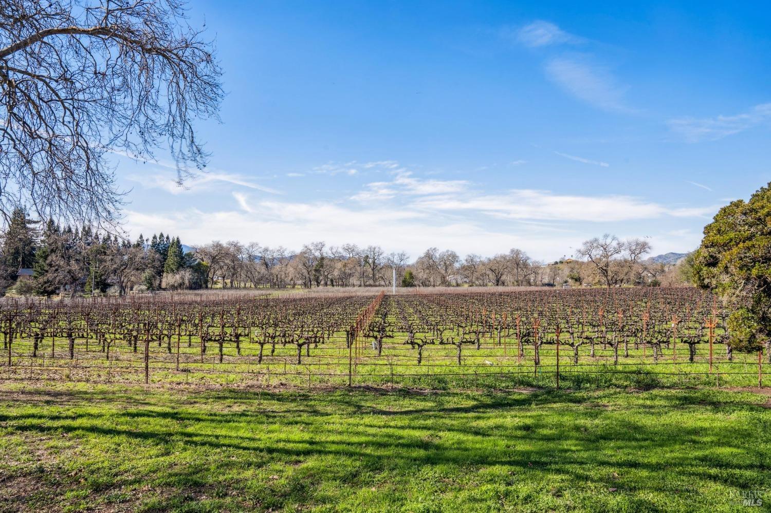 Detail Gallery Image 21 of 68 For 1180 Monticello Rd, Napa,  CA 94558 - – Beds | – Baths