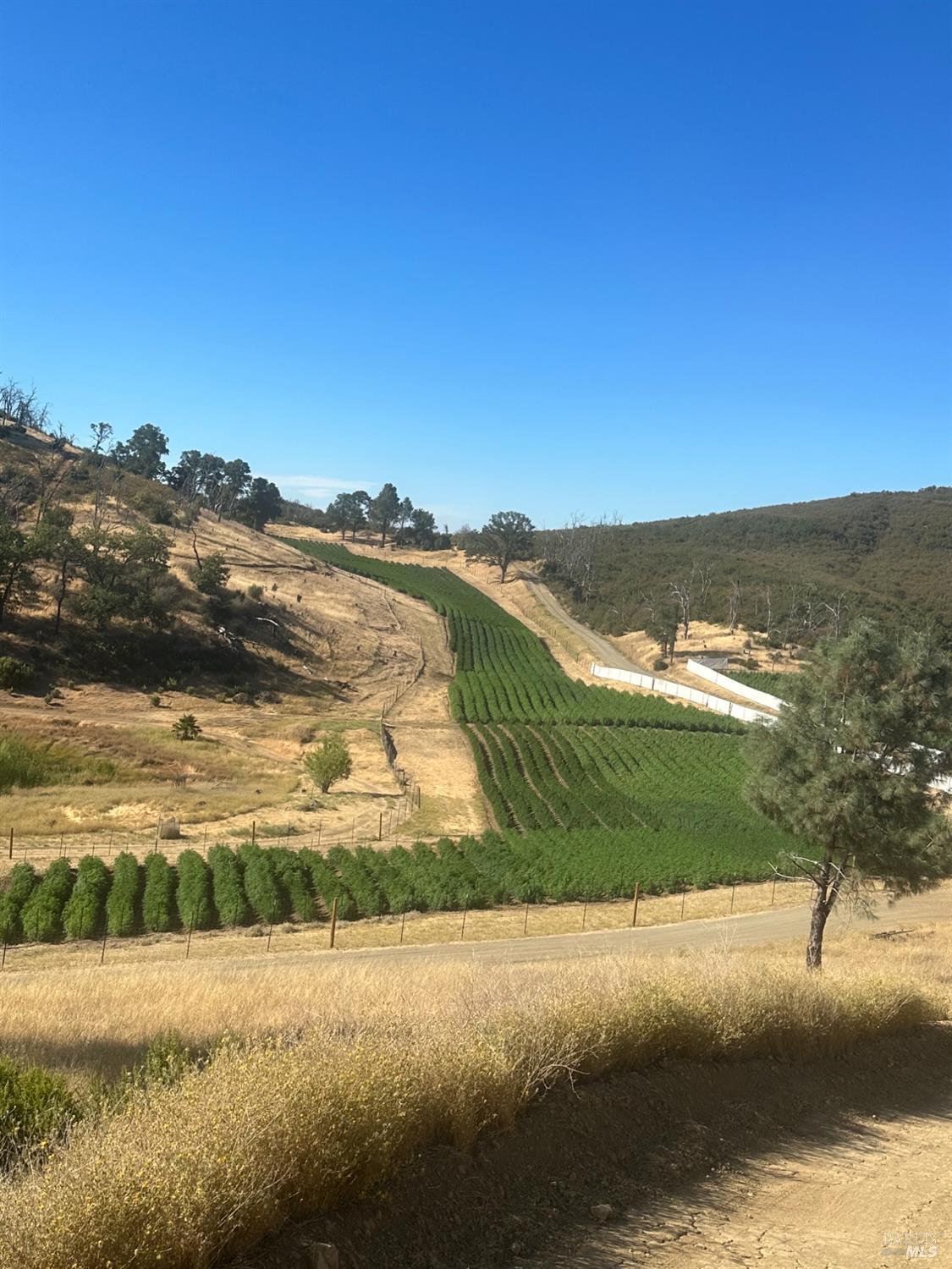 Detail Gallery Image 16 of 25 For Address Is Not Disclosed, Lower Lake,  CA 95457 - – Beds | – Baths