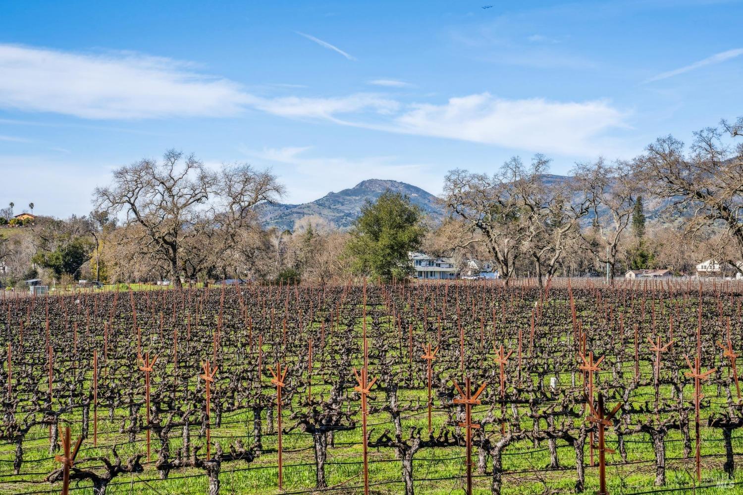 Detail Gallery Image 43 of 68 For 1180 Monticello Rd, Napa,  CA 94558 - – Beds | – Baths