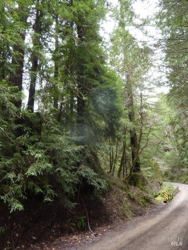 Detail Gallery Image 12 of 19 For 4225 Reeves Canyon Rd, Redwood Valley,  CA 95470 - – Beds | – Baths