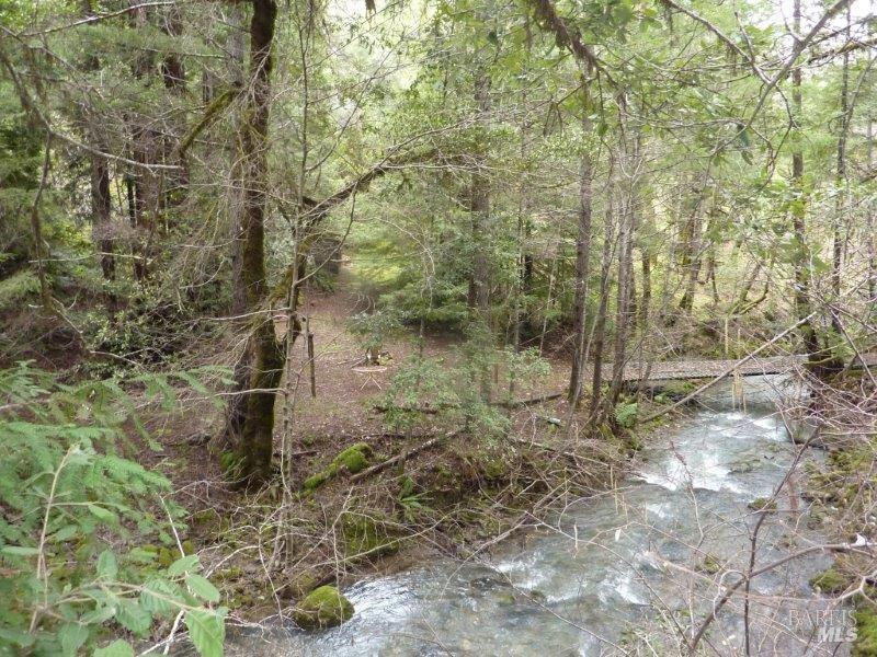 Detail Gallery Image 18 of 19 For 4225 Reeves Canyon Rd, Redwood Valley,  CA 95470 - – Beds | – Baths